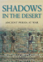 Shadows in the Desert