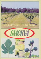 Smokva
