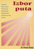 Izbor puta