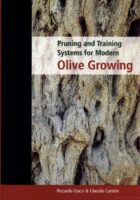 Pruning and Training for Modern Olive Growing