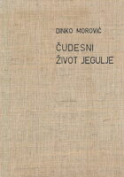 Čudesni život jegulje