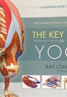 The Key Poses of Yoga