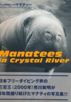 Manatees in Crystal River (Photography)