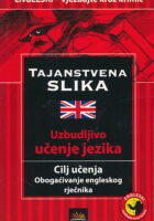 Tajanstvena slika