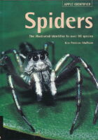Spiders