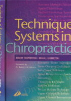 Technique Systems in Chiropractic