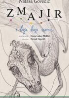 Zmajir i boja koje nema