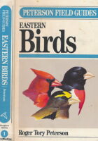 Eastern Birds