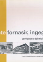 Dante Fornasir, ingegnere