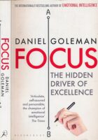 Focus : The Hidden Driver of Excellence