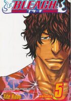 Bleach 5
