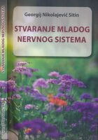 Stvaranje mladog nervnog sistema