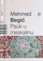 Pauk u meskalinu