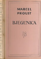 Bjegunica