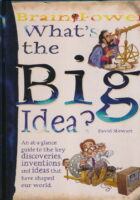 Brain Power : What s the Big Idea?